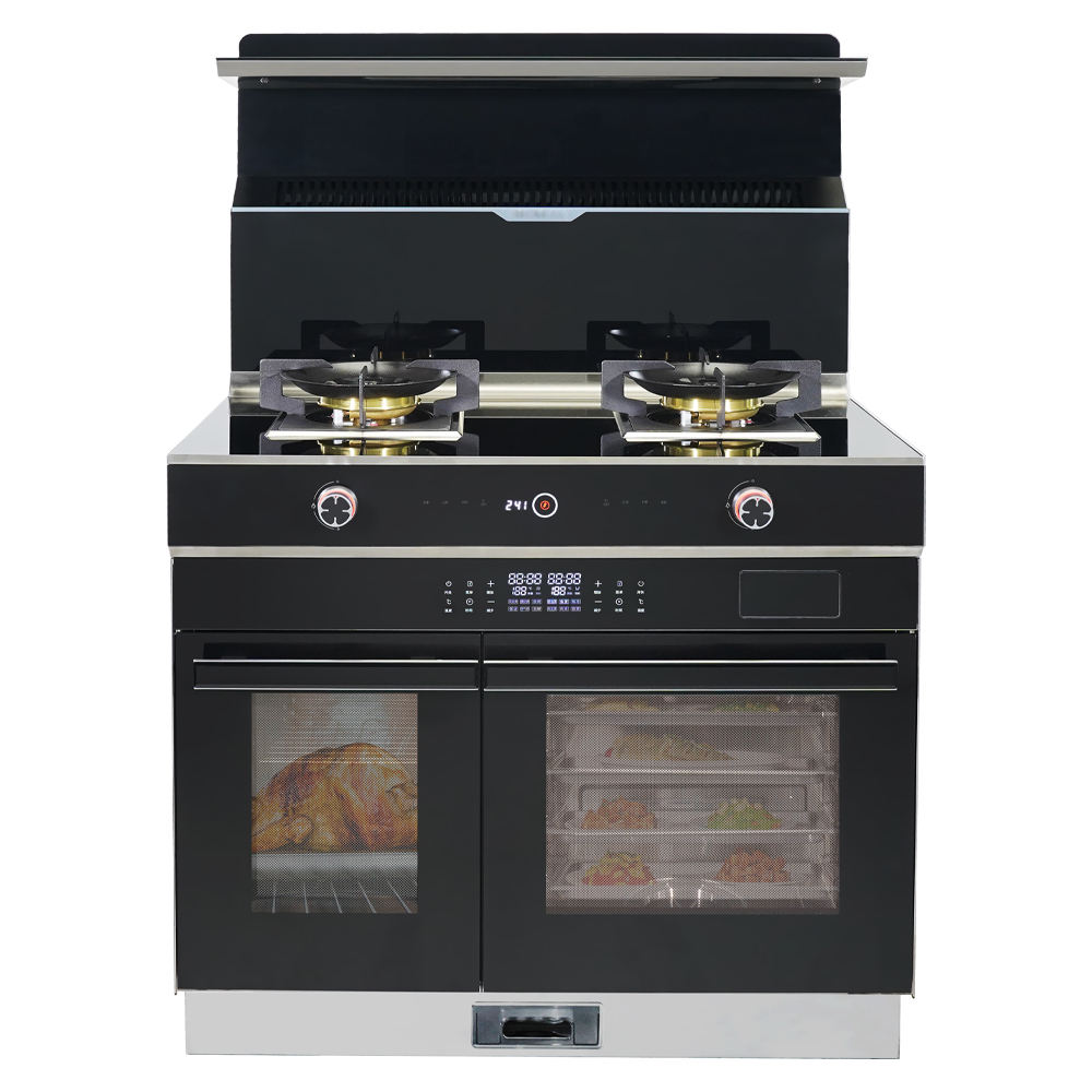 Electric Stoves Gas Integrated Oven Built-In Range Hood